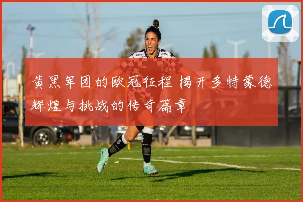 黄黑军团的欧冠征程 揭开多特蒙德辉煌与挑战的传奇篇章