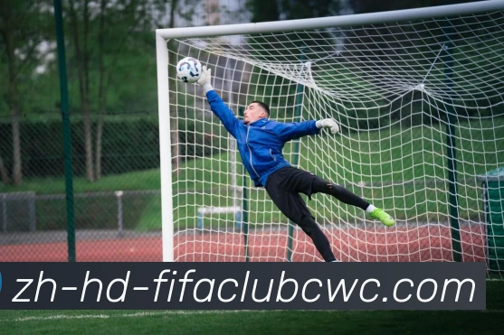 世界杯平台APP 封面图